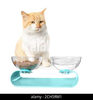 Niedliche Katze und Schalen mit Essen und Trinken auf weiß Hintergrund Stockfoto