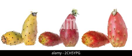 Verschiedene Kaktusfrüchte, isoliert auf weißem Hintergrund. Stockfoto