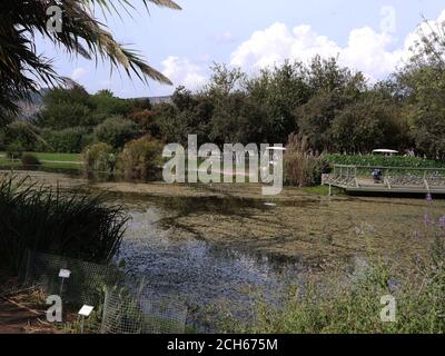 Israel, Hula Valley, Agmon Lake Nature Reserve EIN kleiner Teil des Tals wurde später wieder überflutet, um ein fast ausgestorbenes Ökosystem wiederzubeleben. Stockfoto