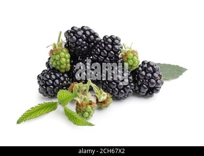 Lecker Black auf weißem Hintergrund Stockfoto