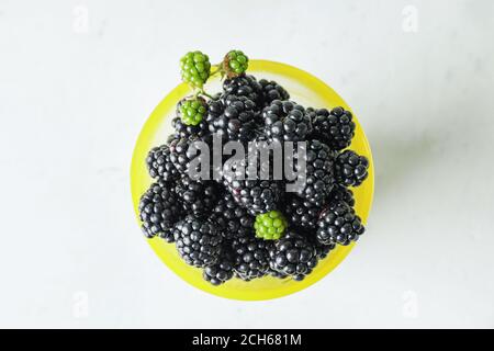Tasse mit leckeren Brombeeren auf weißem Hintergrund Stockfoto