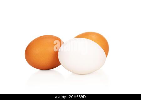 Drei Eier - ein weißes und zwei braune, nebeneinander liegend isoliert auf weißem Fonena weiß Stockfoto