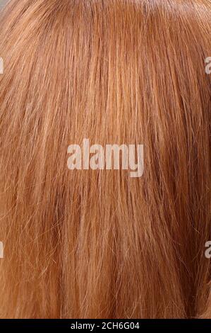 Teil der roten Kastanie natürlichen Haar Nahaufnahme Textur mit selektiven Fokus Stockfoto