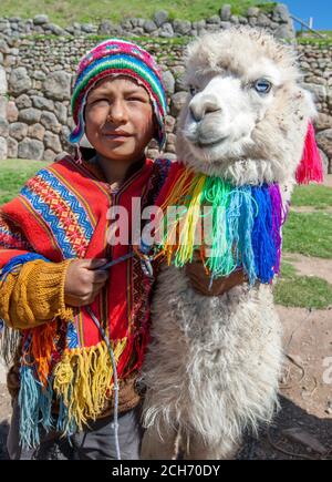 Ein Junge, der in einem bunten traditionellen peruanischen Poncho gekleidet ist und einen chullo auf dem Kopf trägt, steht mit einem Lama am Straßenrand in Cusco in Peru. Stockfoto