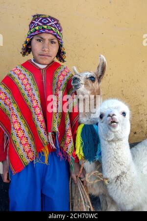 Ein Junge, der in einem bunten traditionellen peruanischen Poncho gekleidet ist und einen chullo auf dem Kopf trägt, steht mit zwei Lamas am Straßenrand in Cusco in Peru. Stockfoto