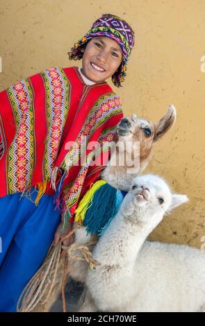 Ein Junge, der in einem bunten traditionellen peruanischen Poncho gekleidet ist und einen chullo auf dem Kopf trägt, steht mit zwei Lamas am Straßenrand in Cusco in Peru. Stockfoto