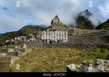 Ein Abschnitt von Felsterrassen an den antiken Ruinen von Machu Picchu, einer Inka-Stätte aus dem 15. Jahrhundert, die sich im Heiligen Tal der Inkas in Peru befindet. Stockfoto