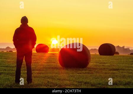 September Sonnenaufgang über den Feldern von Stemmy Grassland, Burscough, Lancashire UK. Eingewickelte Heuballen, vorbereitet für Silage, Heulage für Winterfutter. Silage ist Futter aus grünen Laubpflanzen, die dann als Silage, Silierung oder Silage fermentiert werden. Es wird an Rinder, Schafe oder andere Wiederkäuer verfüttert. Stockfoto