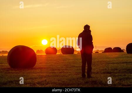 September Sonnenaufgang über den Feldern von Stemmy Grassland, Burscough, Lancashire UK. Eingewickelte Heuballen, vorbereitet für Silage, Heulage für Winterfutter. Silage ist Futter aus grünen Laubpflanzen, die dann als Silage, Silierung oder Silage fermentiert werden. Es wird an Rinder, Schafe oder andere Wiederkäuer verfüttert. Stockfoto