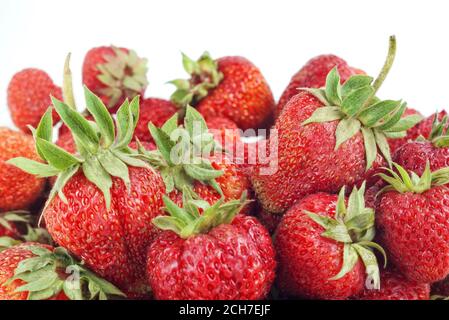 Frische reife Erdbeeren mit grünen Pediküre isoliert auf weiß mit Selektiver Fokus Stockfoto