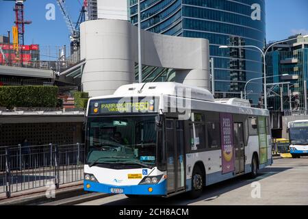 Sydney Busse und Bus Interchange Station in Parramatta City Centre, Western Sydney, Australien Stockfoto