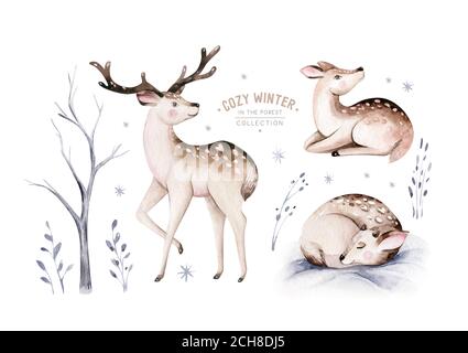 Aquarell Winter Wald Tiere Hirsch isoliert auf weißem Hintergrund. Wild Forest Fawn Nimals Set. Handbemalte Weihnachtskarte für den Winter Stockfoto