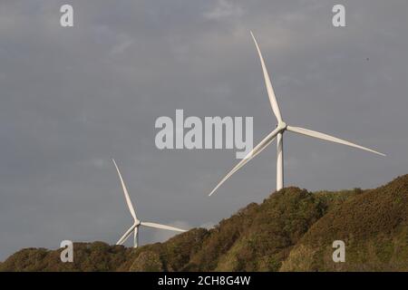 Ein Paar Windturbinen auf einer grünen Klippe an der Küste vor einem grauen Himmel Stockfoto