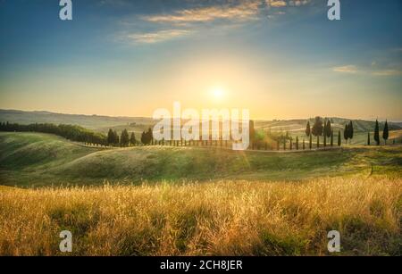 Certaldo canonica Park bei Sonnenuntergang. Sanfte Hügel Landschaft und Zypressen Baumreihe. Florenz, Toskana, Italien Stockfoto