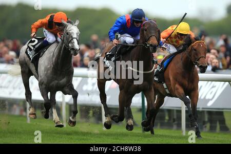 Clever Cookie rided by PJ McDonald (Mitte) Beats Second Step rided by Andrea Atzeni (rechts) und Curbyourenthusiasm rided by D Sweeney (links) um den Betway Yorkshire Cup am dritten Tag des Dante Festivals auf der York Racecourse zu gewinnen. Stockfoto