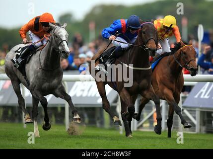 Clever Cookie rided by PJ McDonald (Mitte) Beats Second Step rided by Andrea Atzeni (rechts) und Curbyourenthusiasm rided by D Sweeney (links) um den Betway Yorkshire Cup am dritten Tag des Dante Festivals auf der York Racecourse zu gewinnen. DRÜCKEN Sie VERBANDSFOTO. Bilddatum: Freitag, 13. Mai 2016. Siehe PA Story RACING York. Bildnachweis sollte lauten: Mike Egerton/PA Wire Stockfoto