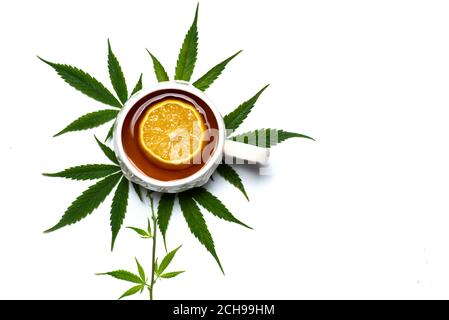 Tasse Marihuana infundiertem Tee in einer Tasse auf der Oberseite Von Marihuana Blätter isoliert Draufsicht mit Kopierraum Stockfoto