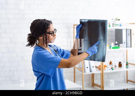 Weibliche Veterinärchirurgen, die Tierröntgenuntersuchung in der modernen Klinik Stockfoto