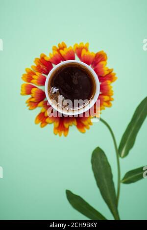 Tasse Kaffee auf einer niedlichen Sonnenblume und Pastellfarbener Hintergrund Stockfoto