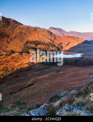 Kalter Wintersonnenaufgang hoch oben auf der Bergseite mit Blick ins Tal zur Spiegelreflexion auf Blea Tarn in Little Langdale. Stockfoto