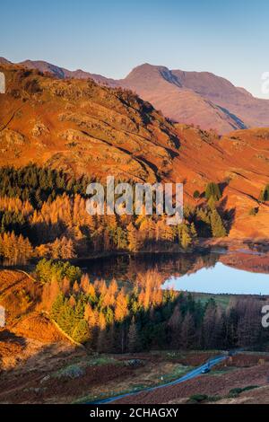 Kalter Wintersonnenaufgang hoch oben auf der Bergseite mit Blick ins Tal zur Spiegelreflexion auf Blea Tarn in Little Langdale. Stockfoto