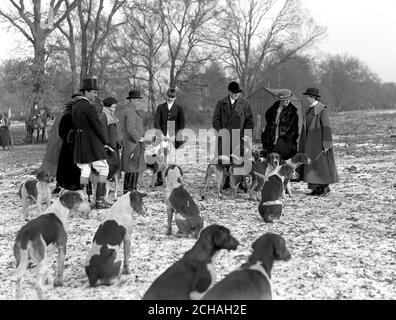 Der Prinz von Wales und Prinzessin Mary mit einigen der Hunde auf der West Norfolk Hunt. Stockfoto