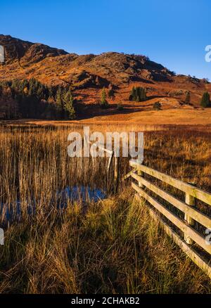 Kalter Wintersonnenaufgang mit Blick über das Tal und das Sumpfland mit Zaun im Vordergrund bei Blea Tarn Little Langdale. Stockfoto