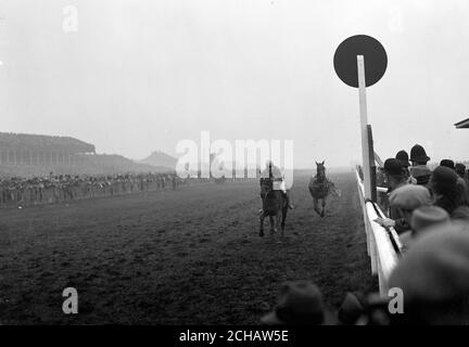 Tipperary Tim, geritten von William Dutton, gewann das Rennen, gefolgt von einem reiterlosen Pferd. Stockfoto