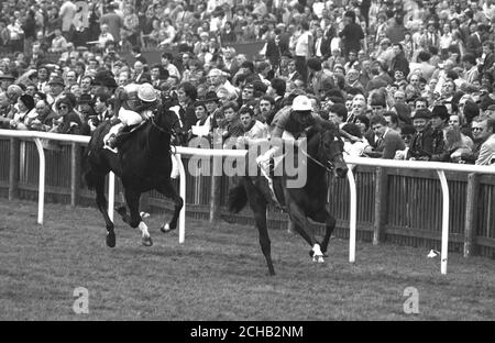 Das Ziel der 1984 2,000 Guineas-Einsätze bei Newmarket, mit dem Gewinner El Gran Senor, Pat Eddery up, führenden zweitplatzierten Chief Singer, mit Ray Cochrane. Stockfoto