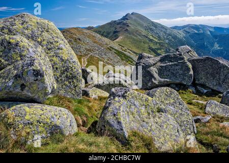 Felsbrocken mit Flechten bedeckt, Dumbier Gipfel in der Ferne, niedrige Tatra Nationalpark, Zilina Region, Slowakei Stockfoto