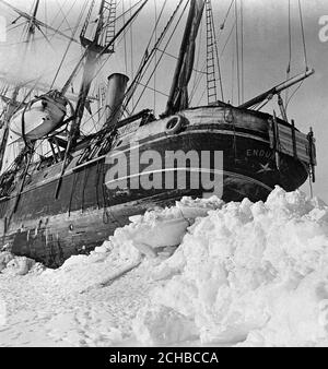 Die 'Endurance' wurde auf den Kamm einer großen Druckwelle gehoben, die unter ihrem Heck vorbeifuhr, ihren Ruderpfosten wegriss und in ihrem Heck zerquetschte. Sir Ernest Shackleton sagte in einem Kabel: "Der schreckliche Druck gipfelte in dem Ausreißen der Heck- und Ruderpfosten. Ich bestellte alle Hände auf das Eis.'. Stockfoto