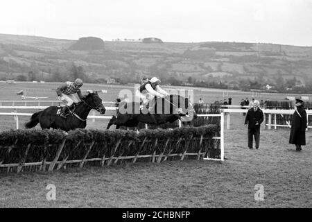 Monksfield (rechts), mit Tommy Kinane im Sattel, nimmt den letzten Flug vor Sea Pigeon, Frank Berry up, auf dem Weg zum Sieg in der Waterford Crystal Champion Hürde in Cheltenham. Sea Pigeon hielt sich auf den zweiten Platz, Night Nurse wurde Dritter. Stockfoto