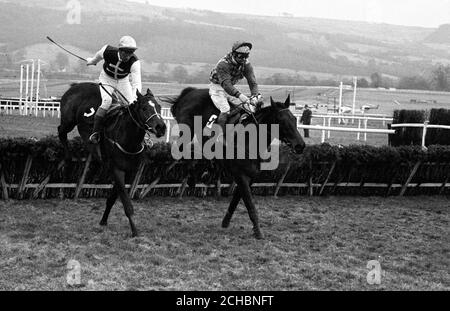 Dessie Hughes hebt seine Peitsche, um Monksfield vor dem Rivalen Sea Pigeon (r), Jonjo O'Neill, zu fahren und zum Sieg nach der letzten Hürde in der Waterford Crystal Champion Hurdle Challenge Trophy für das zweite Jahr in Folge in Cheltenham. Stockfoto