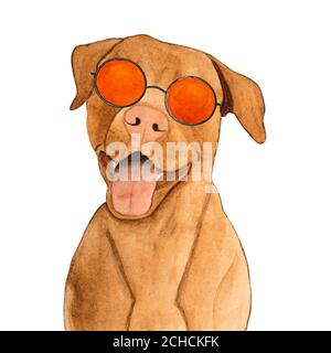 Liebenswertes, hübsches Haustier und Sonnenbrille. Schöne Zeichnung mit Aquarellen. Nahaufnahme. Urlaubs- und Reisekonzept Stockfoto