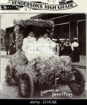 . Alles für den Garten : 1906 . DOPPELT BLÜHENDE SÜSSERBSEN Diese produzieren gewöhnlich 20 bis 40 Prozent, von schönen Doppelblüten; im Allgemeinen werden Doppel- und Einzelbeine etwa halb und halb auf jedem Stamm getragen. In einigen unkongenialen Situationen produzieren sie-keine doppelten Blumen an allen, aber in solchen Fällen tragen in der Fülle groß-einzelne Blumen. (Siehe Schneiden) Double Sweet Peas, Mixed Colors, } lb. 50c; oz., 15c.; Pkt., 5e- Apfelblüte. Rosa und rosa; Flügel erröten 5c. Boreatton. Tief kastanienbraun 5c. Braut Von Niagara. Karminrose; Flügel erröten 5c. Schmetterling. Malve und Lavendel auf weiß, eingefasst blau 5c. Hauptmann von Stockfoto