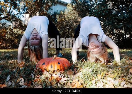 Wo Mädchen, blonde Haare, Freundinnen, neben einem großen Kürbis für Halloween. Hochwertige Fotos Stockfoto