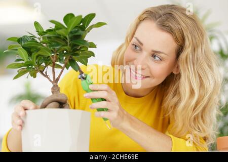 Junge enthusiastische Gärtnerin, die sich um Bonsai-Pflanzen kümmert Stockfoto