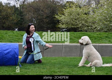 REDAKTIONELLE VERWENDUNG NUR Cuillin, ein Labrador Cross Pudel, der Monica Lennon MSP beim diesjährigen Holyrood Dog of the Year Wettbewerb gehört, der gemeinsam von Dogs Trust und dem Kennel Club in den Scottish Parliament Gardens in Edinburgh organisiert wird. Stockfoto