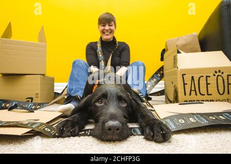 GESPERRT AM 0001 DIENSTAG 5. NOVEMBER REDAKTIONELLE VERWENDUNG NUR Polly, ein Pointador Welpe und ihre Besitzerin Fiona Young, aus Glasgow werden als die ersten Gewinner des ???Face of Amazon Pets??? Wettbewerb, erhalten ein professionelles Fotoshooting und ??1,000 mit dem Online-Händler zu verbringen. PA-Foto. Ausgabedatum: Dienstag, 5. November 2019. Polly wurde aus Tausenden von Einträgen bei Amazon???s landesweiter Suche ausgewählt, um den Start der neuen Einkaufsseite des Online-Händlers Pet Profiles zu markieren. Tierbesitzer, die mit dem Hashtag #AmazonPets2019 in den sozialen Medien eingestiegen sind. Foto Cred Stockfoto