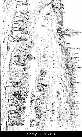 . Vier Jahre in der Stonewall Brigade [elektronische Ressource] . während der Beschuss, und fast verblassen zu Tode, bevor seine Wunden wurden stauned. Sie brachten ihn schließlich auf eine Bahre und starteten nach hinten, als einige der Träger nach unten fielen und er schwer auf den Boden fiel und die Wunden wieder öffnete. Sie brachten ihn schließlich in die Ambulanz und er wurde in das Feldhospital gebracht, wo Dr. Hunter McGuire seinen linken Arm nahe der Schulter amputierte. Die Schlacht an diesem Tag war nur ein Vorspiel towhat wurde auf die nächsten zwei Tage folgen. Gen. Hooker hatte in dieser Nacht seine Truppen massiert und seine Werke gestärkt Stockfoto