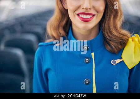 Junge attraktive Frau Luft Hostess stehen in leer großen modernen Flugzeug Stockfoto