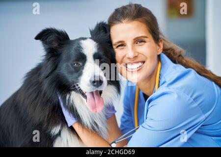 Weibliche Tierarzt Untersuchung eines Hundes in der Klinik Stockfoto