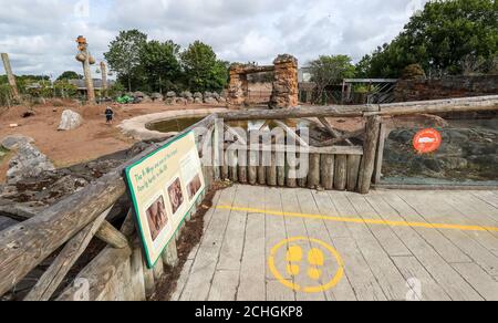 Soziale Distanzierungsmaßnahmen im Zoo von Chester, nachdem die Attraktion eine Kampagne gestartet hatte, um Geld zu sammeln, um den Zoo am Laufen zu halten und die Tiere zu versorgen, nachdem die Regierung bestätigt hatte, dass der Zoo auf unbestimmte Zeit geschlossen bleiben muss. PA-Foto. Bilddatum: Donnerstag, 4. Juni 2020. Bildnachweis sollte lauten: Peter Byrne/PA Wire Stockfoto