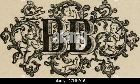 . Les merveilles du nouveau Paris-- . PARIS BERNARDIN-BÉCHET, LIBRAIRE-ÉDITEUR 31, QUAI DES GRANDS-AUGUSTINS, 31 1867 Tous droits réservés }C : o OO I Ton O U &lt;Ù•H § OH O S T&gt; (0 •HH•H • &gt; S EG O O Qoolesmerveillesdun00dc Stockfoto