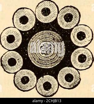 . Das New England Magazin . Das Zweite Atlantikkabel. Wenn man bedenkt, was mit unseren Millionären getan werden soll, muss Raum wie Peter Cooper, Cyrus W. Field, Marshall O. Roberts, Moses Taylor und Chandler White gelassen werden, um zum allgemeinen wohl beizutragen, indem atlantische Kabel verlegt werden. Die Geschichte dieses kolossalen Untergrundertakings, dessen Urheber und bewegender Geist Cyrus W. Field war, kann nur in der kargen Umrisse erblickt werden. Das erste, was zu tun war, um eine Telegrafenlinie von New York an die weitere Küste von Neufundland zu bauen. Das allein kostete einen Milliondollar, und dauerte zwei Jahre, beingcom Stockfoto