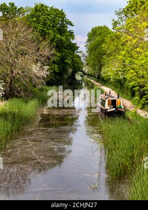 Ein Schiff oder ein Schmalboot auf der Leicester Line des Grand Union Canal in der Nähe von Foxton Locks, Leicestershire, England, Großbritannien Stockfoto