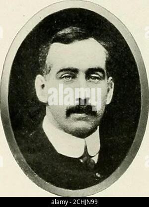 . Geschichte der Familie Carlile : Paisley Zweig . Stockfoto