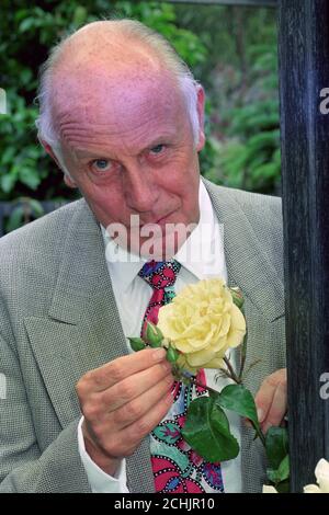 Schauspieler Richard Wilson inspiziert eine Rose im Age Concern Garden in der Hampton Court Palace Flower Show. Stockfoto