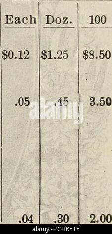 . Neue Blumenguide : Herbst 1909 . ING Farben zusammen gepflanzt werden blendmost schön und machen eine charmante Anzeige auf Ihrem Rasen. Zu diesen Preisen geliefert kostenlos in U. S. A. jeder Doz. 100 PICOTEE, WEISS-Wachsweiß mit gefiedertem Karmesinrand, 0.04 € 0.35 € 2.00 € PICOTEE, GELB-tiefes goldenes yel- niedriger, rot gefiederter Rand, PICOTEE, ROT-reiches Scharlach elegant 0,04 .35 2.00 schattiert 04 .35 2.00 ANGEBOT Nr. 11a – 3 schöne Picotee Tulpen, 10c.ANGEBOT Nr. lib – oder 3 Stück, 9 für 2SC. TULIPA QREIGII (Königin der Tulpen) - große Handsomefoliage, neugierig mit dunkelkastanienbraun gesichtet. Viele brillante Farben, . . DIE GRÜNE ÜE Stockfoto