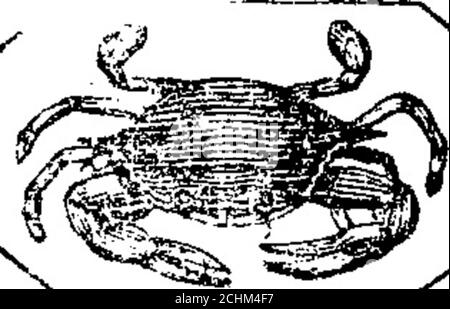 . Richardson's Virginia & North Carolina almanac, für das Jahr unseres Herrn 1864 [elektronische Ressource]: Bissextil oder Schaltjahr, die achtzig der amerikanischen Unabhängigkeit, und das dritte der konföderierten Staaten . YS alt 4 55 7 5 20 20 / 2: Steigt morgen auf 22 13 Trinity Sonntag 4 54[7 6 20 32 15! 8 22 0 31 23 m Fledermaus FrontRoyal 62 4 53,7 7 20 43 29 9 19 1 29 24 tu Victoria Geboren 1819 4 537 7 20 54 V513 10 10 2 28 25 w € 19 Tage alt 4,52 7 8 21 5i 27110 57 3 25 26 &lt;,h D s lat 5 6 no:th 4 51 7 9 21 16]-3?]] Ill 40 4 22 27 fr 3 in Perigee regen 4 51,7 9!21 261 26; morn 5 20 28 sa N. Auto. Zugelassen Stockfoto